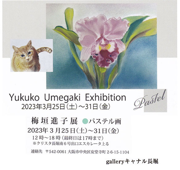 u~_ iq W pXe@Yukuko Umegaki ExhibitionvFGallery Lix