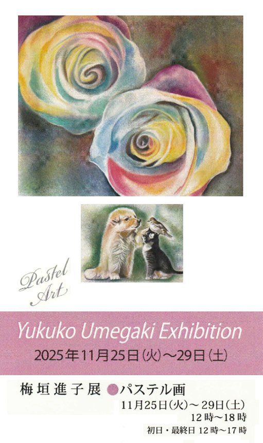 ~_ iq W pXe Yukuko Umegaki Exhibition