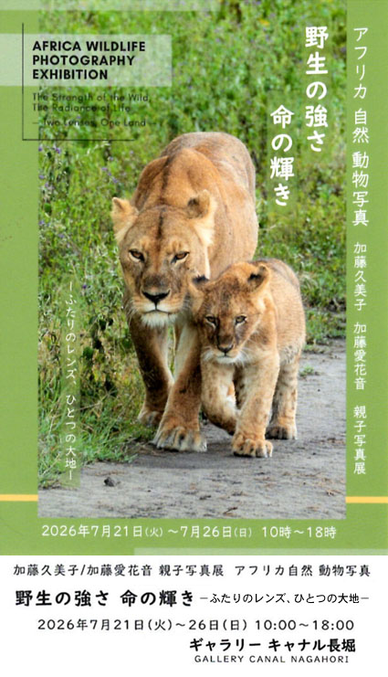 �u�����v���q/�������ԉ� �e�q�ʐ^�W�@�A�t���J���R �����ʐ^�@�쐶�̋��� ���̋P���@�|�ӂ���̃����Y�A�ЂƂ̑�n�| �v
