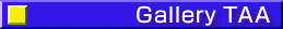 Gallery TAA/M[EeB[G[G[