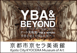 �e�[�g���p�� �\ YBA & BEYOND