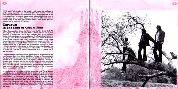 In the Land of Gray and Pink Book 1