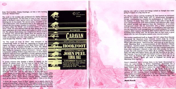 In the Land of Gray and Pink Book 3
