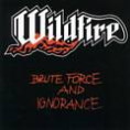 BRUTE FORCE AND IGNORANCE