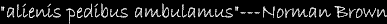 epi3.gif (2042 �o�C�g)