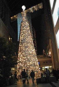 �L���i���K�[�f���̃c���[
