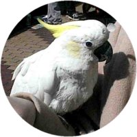 �I�E��