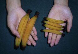 Banana Trick