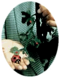 Dr.Sawa with ladybugs
