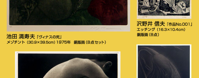 artnavi.net「池田満寿夫没後20年を含む4人の銅版画展」会場 