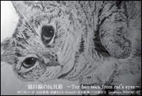 猫目線の玩具箱