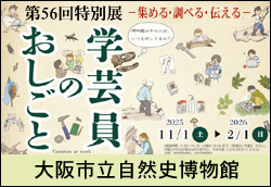 第56回特別展「学芸員のおしごと」