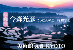 �ʐ^�W ���X���F �ɂ��ۂ�̗��R�𗷂���