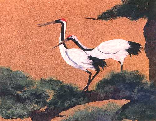 Japanese Cranes in Pairs