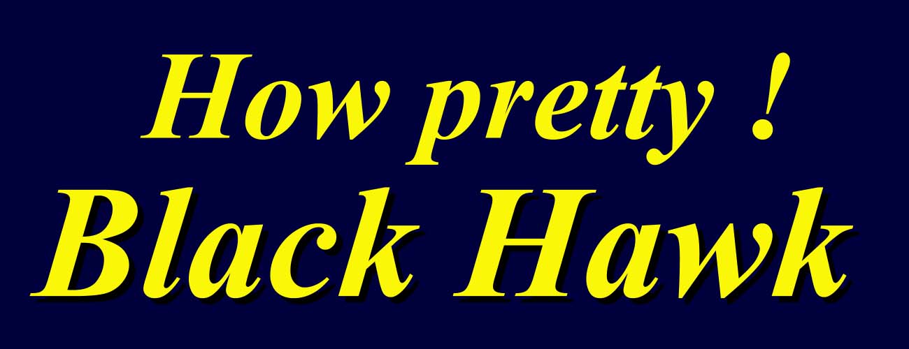 uHow@prettyIBlack@Hawkv