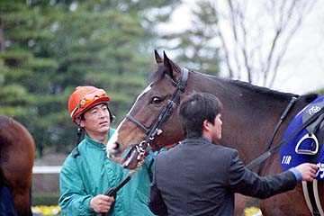 ubNz[N(2001/3/25{LOatn)