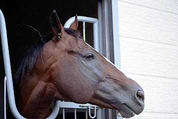 gbgT_[(2001/9/2atrr)