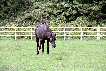 }Cl(2001/9/3atrbObhe)