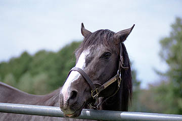 TN`gZI[(2001/9/3atÓrr)