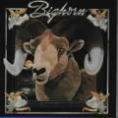 BIGHORN