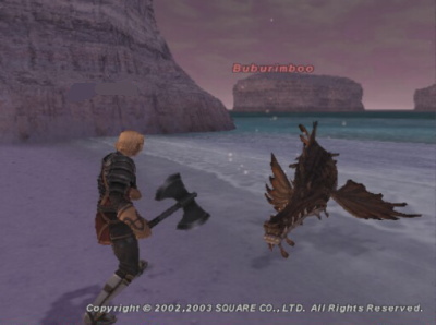 ブブリムの海岸にて。