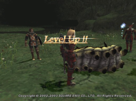 ボヤーダ樹にて。