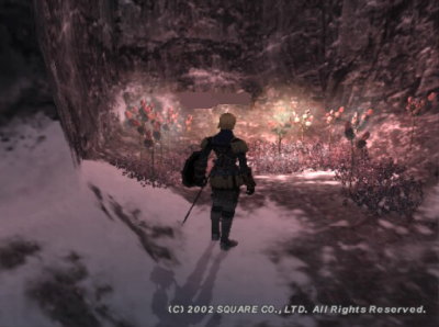 クフィム島の海岸沿い・・・