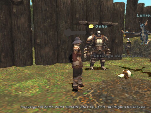 ユタンガで白の育成。うちのサーバーで活動する某雑誌編集者LSのガルカさんとPTを組む。